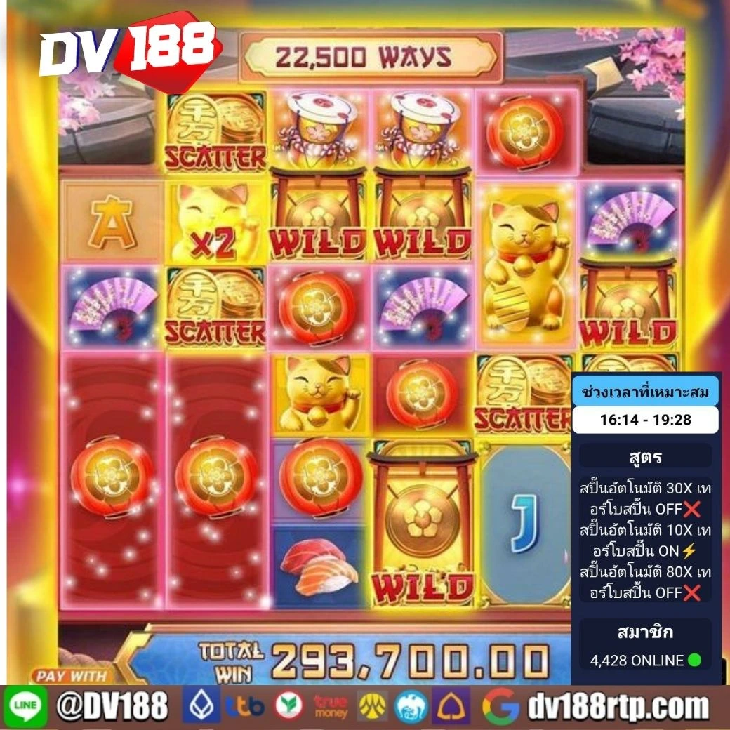 d55 เครดิตฟรี เล่นง่าย จ่ายจริง ไม่มีโกง พร้อมโปรโมชั่นยอดนิยม