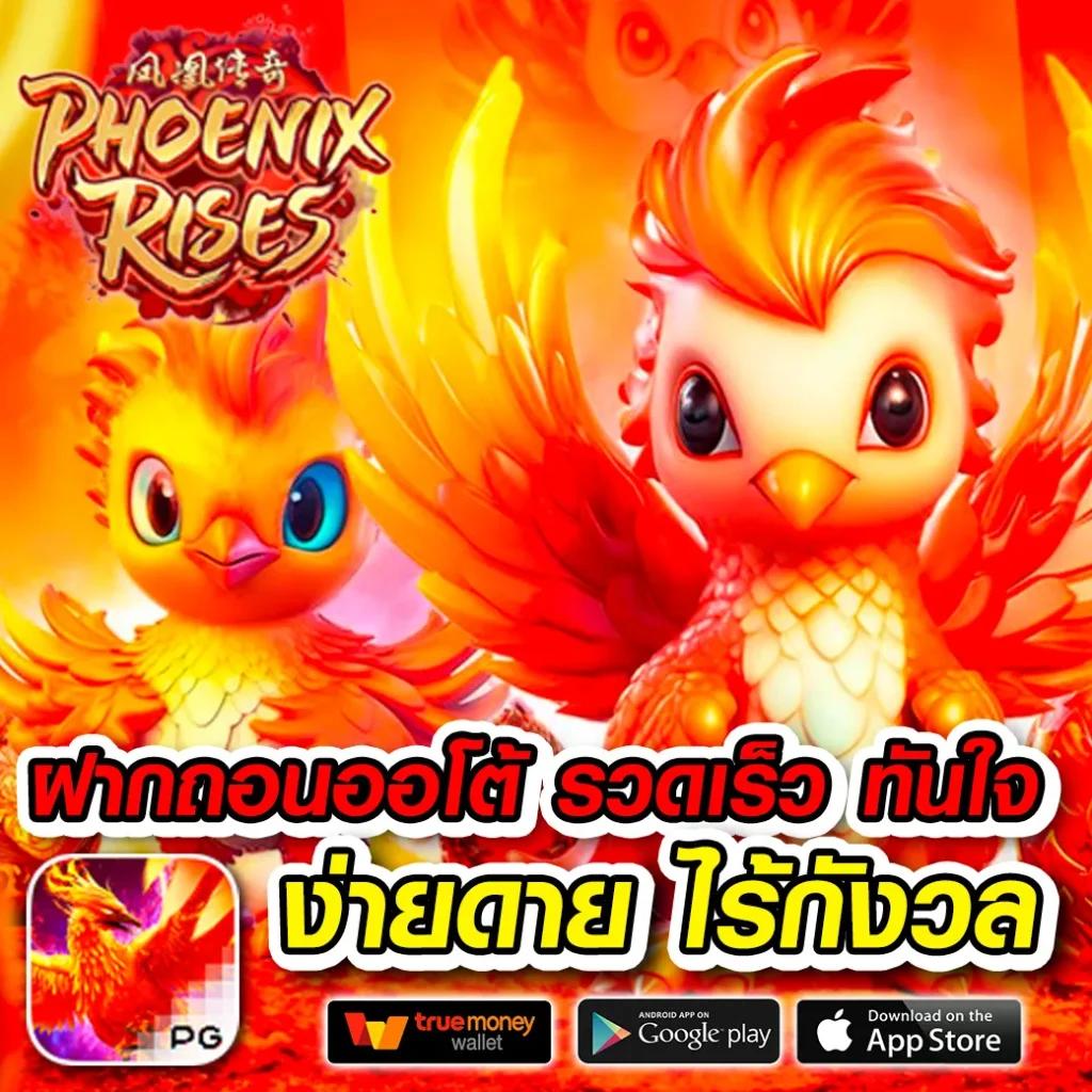 tiger711 คาสิโนสด เว็บตรง เล่นง่าย จ่ายจริง ปลอดภัยสมบูรณ์