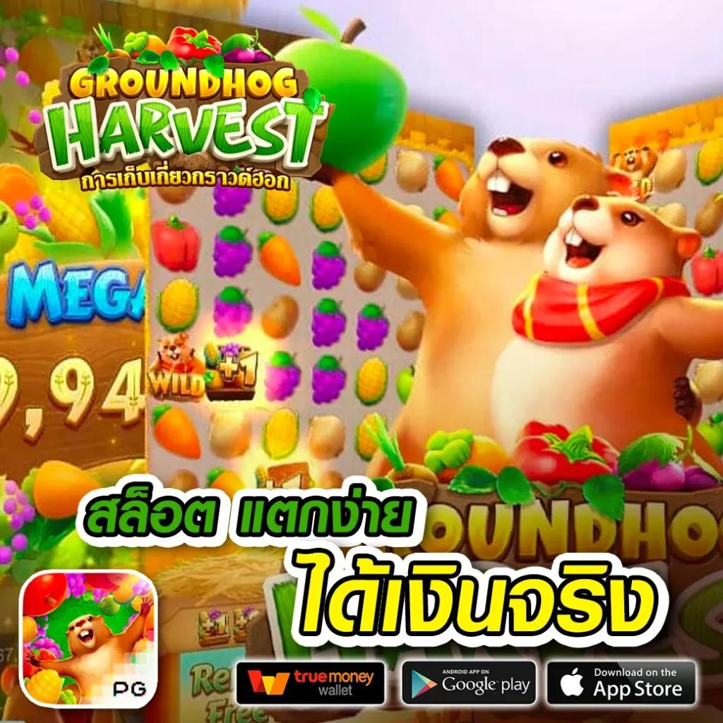 การ พนัน คาสิโนยอดนิยม ครบทุกเกมในที่เดียว สมัครง่ายรับโบนัสเต็มที่